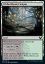 Кампус Уизерблума (Стриксхейвен)