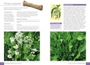 Atlas dzikich kwiatów Mederski NOWA ISBN 9788382227499