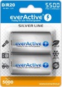 АККУМУЛЯТОРЫ D/R20 NI-MH EVERACTIVE 5500MAH SILVER LINE (2 КОМПЛЕКТА В КОРОБКЕ)