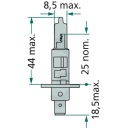 PHILIPS ЛАМПОЧКА ГАЛОГЕНОВА H1 12V 55W P14,5S  (15652225035) фото min 5