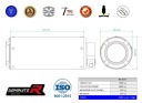 F900XR 2020 - 2022 СИСТЕМА ВИПУСКНИЙ ГЛУШНИК GP DOMINATOR  фото 6