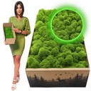 Финский крабовый мох 500г - Светло-зеленый