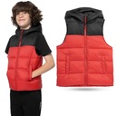 КУРТКА С РУКАВАМИ ДЛЯ МАЛЬЧИКОВ, ВЕСЕННИЙ ЖИЛЕТ 4F SS23M079