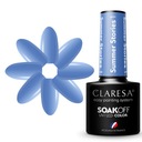 CLARESA SUMMER STORIES1 ГИБРИД ПОЛЬСКИЙ СИНИЙ