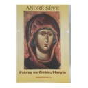 Я смотрю на тебя, Мэри - Сев