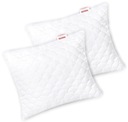 VANKÚŠ CLASSIC 2-PACK 70X80 ANTIALERGICKÝ ZIPS