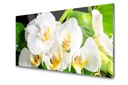 Panel szklany Hartowany Orchidea Kwiaty 140x70