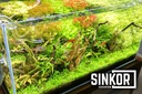 Sinkor LED WRB 60 освещение для аквариума 60см 20Вт