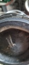 PISTON BIELLE DAF 1313415N0319URM 118020 1427077photo 8