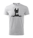 Pánske tričko PES DOBERMAN DOG Veľkosť XL