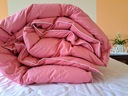 Пуховое одеяло 200х220 супер ЛЕТО цвета