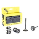 ВЫПУСКНЫЕ КЛАПАНЫ PROX KAWASAKI KXF 450 (06-08)