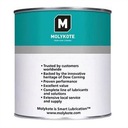 Molykote Longterm W2 1 кг белая смазка