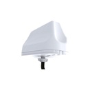 Antena samochodowa 2w1 Poynting MIMO-3-12 LTE Model MIMO