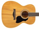 Akustická gitara RICHWOOD RA-12 (NT)