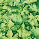 МЕБЕЛЬНЫЙ ШПОН САМОКЛЕЯЩИЙСЯ 45х50 ЗЕЛЕНЫЕ ЛИСТЬЯ