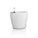 Donica Classico Color 14 biały Lechuza