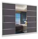 Шкаф-купе с зеркалом ЯЩИКИ 232 см