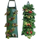 Подвесной мешок для посадки клубники с боковым отверстием для сада.