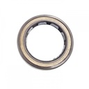 Зиммеринг 25x35x6 BAFSLSF FPM DMHUI 1901002