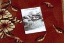 RUNNER BCF MORAD 70 см TRIO бордовый FRAME FLOWERS ^*Q158