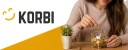 СКОРИНКА ДЕКОРАТИВНА ВЕЛИКА СКЛО ДЛЯ ГРОШЕЙ БАНКНОТ МОНЕТ