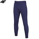 Мужские спортивные штаны 4F Sports Joggers M603 Спортивный костюм с кулиской L