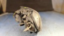 PHARE PROJECTEUR DROIT AVANT VW PASSAT B5 RESTYLAGE 3B0941016AN 1EL00835002photo 8
