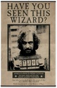 Harry Potter Syriusz Black Wanted plakat 61x91,5cm Marka Harry Potter