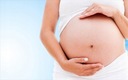 Dla Kobiet w Ciąży Adapter do Pasów Samochodowy EAN (GTIN) 3662332017551