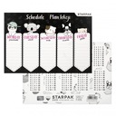 ПЛАН МИНИ-УРОКА СТАРПАК