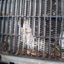 RADIATEUR MERCEDES E CLASSE W213 AMG E63 AVEC 213 505 06 00photo 4
