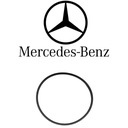 MERCEDES SPRINTER VITO Уплотнительное кольцо вакуумного насоса