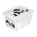 123125 КОНТЕЙНЕР ДЛЯ ХРАНЕНИЯ BRANQ SHED