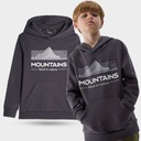 СВИТШОТ С КАПЮШОНОМ 4F ДЛЯ МАЛЬЧИКОВ AW23M634