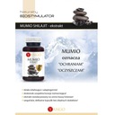 Mumio Shilajit - 90 kaps YANGO Kód výrobcu 5905279845893