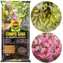 ПОЧВА ДЛЯ ОЛЕАНДРОВЫХ ОЛИВОК ЦИТРУСОВАЯ ЛАВАНДА КОМПО