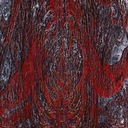 Asfast - The Prime Same *LP