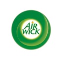 Air Wick Botanica Vonné tyčinky Wetiwer 80ml Druh tyčinky