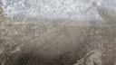 БАМПЕР ЗАД ЗАДНІЙ MERCEDES VITO 447 A447 W447 AMG A4478853200  (17210589213) фото min 12
