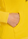 Mikina Pitbull Rozp. Dámska kapucňa Small Logo Farba Model Small Logo