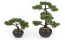 искусственное дерево БОНСАЙ, кедр, 25 см, черный вазон, японское хвойное дерево БОНСАЙ