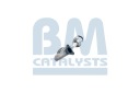 BM CATALYSTS BM91058H CATALYSEURphoto 9