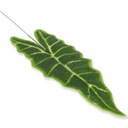 ИСКУССТВЕННЫЕ ЗЕЛЕНЫЕ КОМПОЗИЦИИ ИЗ ЛИСТОВ АЛОКАЗИИ