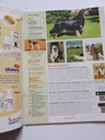 Журнал Friend Dog Шотландская овчарка-колли