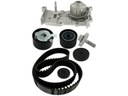 PIGNON DE DISTRIBUTION KIT (PASEK + POULIE LIBRE + POMPE CIEC VKMC06021 SKF photo 7 - milautoparts-fr.ukrlive.com