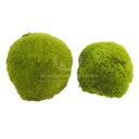 Гигантский мох для подушек 2 шт.