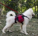 Plecak dla psa Szelki outdoor Plecak trrekingowy S Kod producenta PCH_21