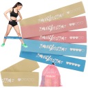 HIP BAND mini Материал эспандеров для упражнений