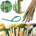 БАМБУКОВЫЙ ШТОК 100X - ПОДДЕРЖКА ДЛЯ ЦВЕТОЧНЫХ РАСТЕНИЙ - 60 СМ, 8-10 ММ + 100 ШТИФТОВ